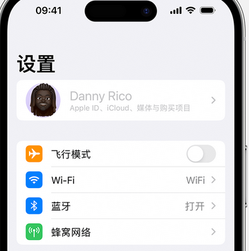 樟木头镇appleID维修服务iPhone设置中Apple ID显示为灰色无法使用 