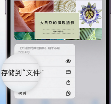 樟木头镇apple维修中心分享iPhone文件应用中存储和找到下载文件