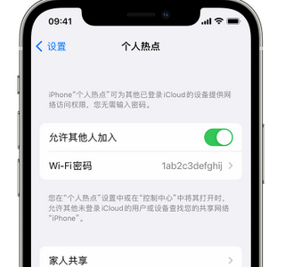 樟木头镇apple服务站点分享iPhone上个人热点丢失了怎么办