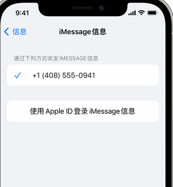 樟木头镇apple维修iPhone上无法正常发送iMessage信息 