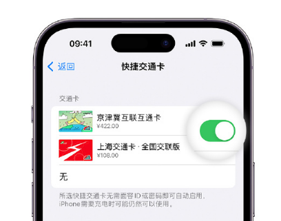 樟木头镇apple维修点分享iPhone上更换Apple Pay快捷交通卡手绘卡面 