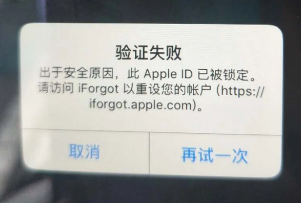 樟木头镇iPhone维修分享iPhone上正常登录或使用AppleID怎么办 