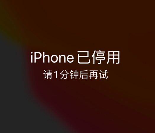 樟木头镇苹果手机维修分享:iPhone 显示“不可用”或“已停用”怎么办？还能保留数据吗？ 