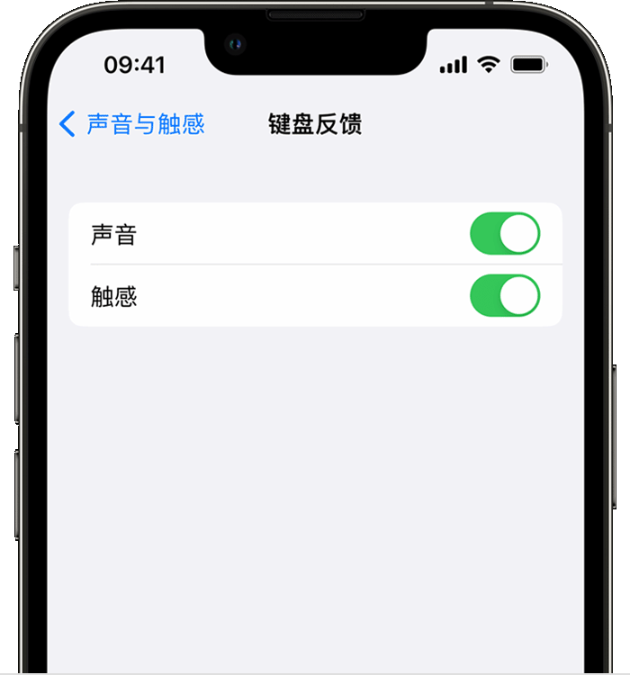 樟木头镇苹果14维修店分享如何在 iPhone 14 机型中使用触感键盘 