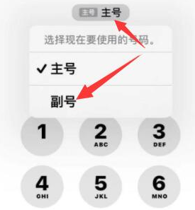 樟木头镇苹果14维修店分享iPhone 14 Pro Max使用副卡打电话的方法 