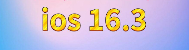 樟木头镇苹果服务网点分享苹果iOS16.3升级反馈汇总 