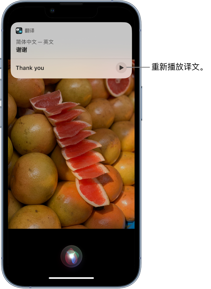 樟木头镇苹果14维修分享 iPhone 14 机型中使用 Siri：了解 Siri 能帮你做什么 