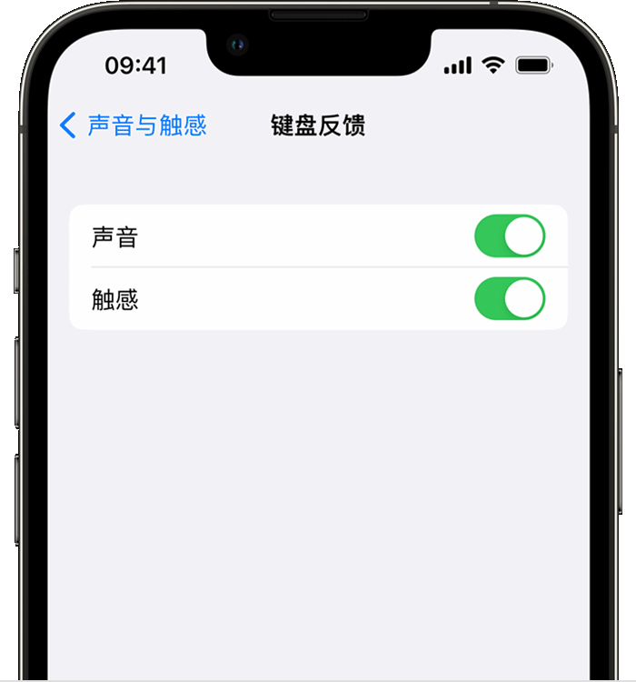 樟木头镇苹果14维修分享iPhone 14 系列机型如何开启键盘声音或触感反馈 