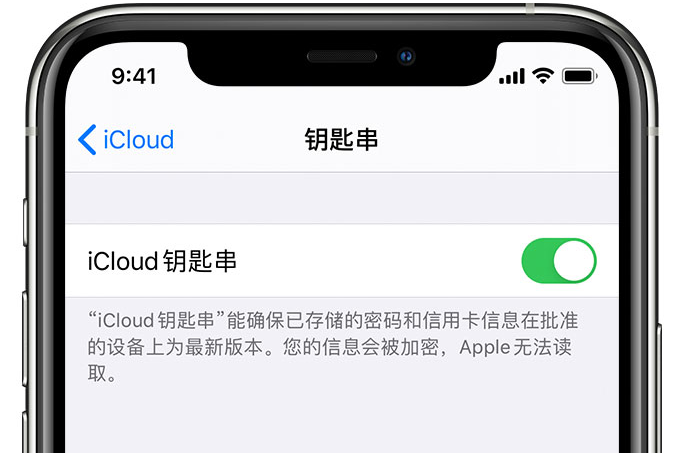 樟木头镇苹果手机维修分享在 iPhone 上开启 iCloud 钥匙串之后会储存哪些信息 