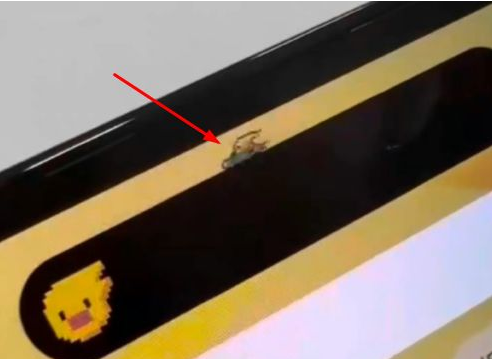 樟木头镇苹果14维修分享iPhone 14 Pro Max灵动岛怎么养宠物 
