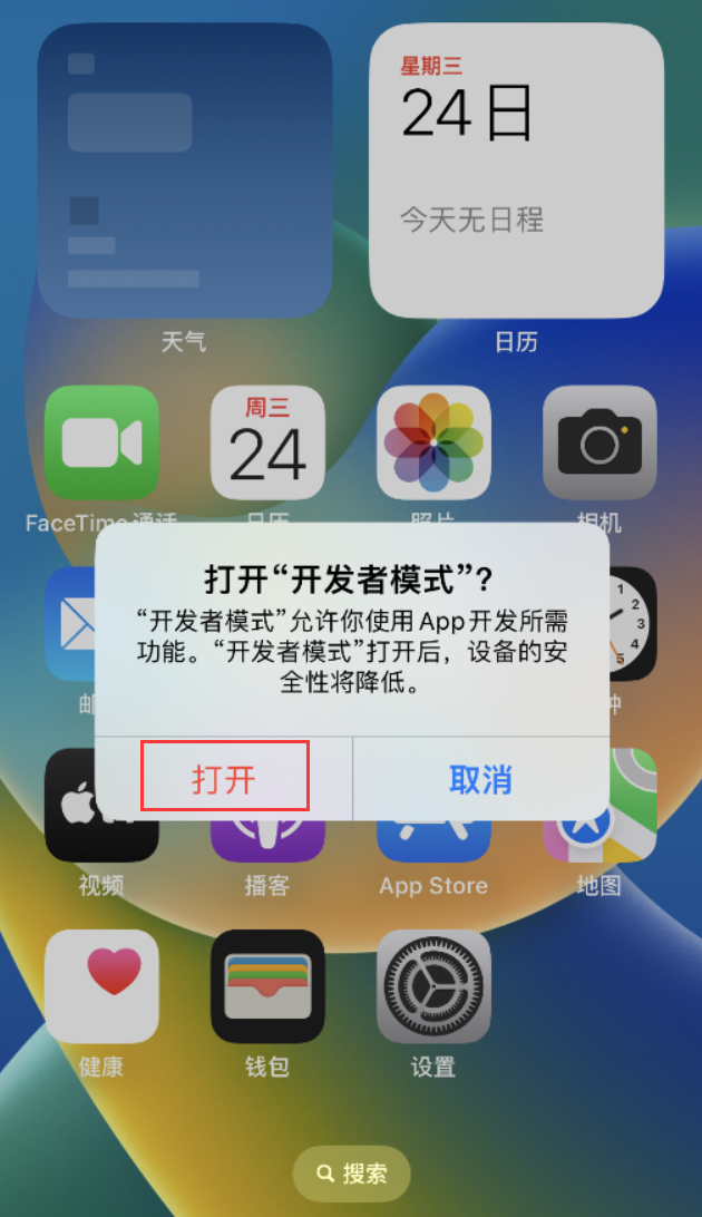 樟木头镇苹果手机维修分享如何打开开发者模式 