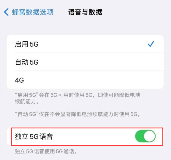 樟木头镇苹果14维修分享iPhone 14 Pro如何开启VoNR 
