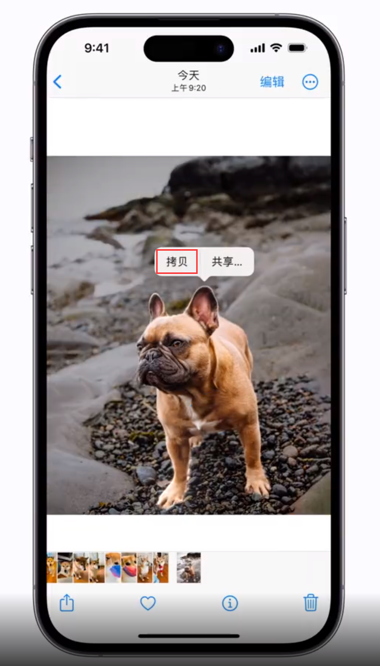 樟木头镇苹果手机维修分享 iOS 16 自带一键抠图功能 