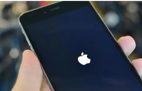 樟木头镇苹果手机维修分享iPhone卡顿怎么办 