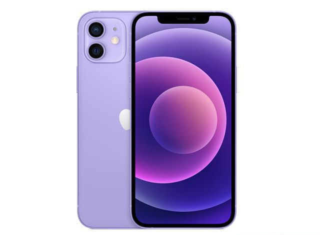 樟木头镇苹果手机维修分享现阶段要不要入手紫色版iPhone12 