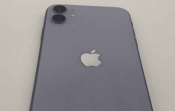 樟木头镇苹果11系统维修分享iPhone11手机系统崩溃无法开机如何解决 