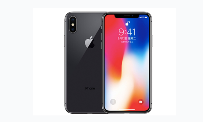樟木头镇苹果手机维修分享iPhone X换电池 