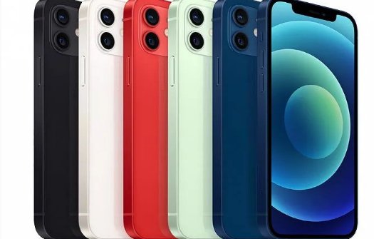 樟木头镇苹果维修点分享iPhone12 Pro Max进水维修 