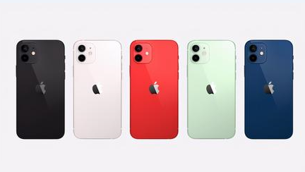 樟木头镇苹果维修点分享iPhone 12锁屏密码系统机制科普 