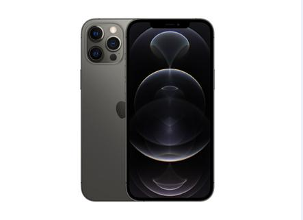 樟木头镇苹果维修点分享iPhone 12 Pro Max锁屏密码底层科普 