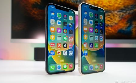 樟木头镇苹果维修点分享iPhone 14 Plus锁屏密码要点梳理 