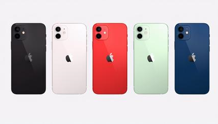 樟木头镇苹果维修点分享iPhone 12黑屏隐蔽故障解读 