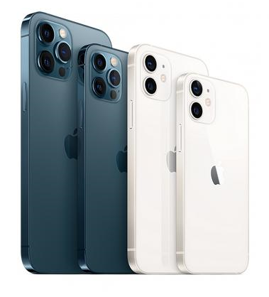 樟木头镇苹果维修点分享iPhone 12 Pro黑屏小众问题解析 
