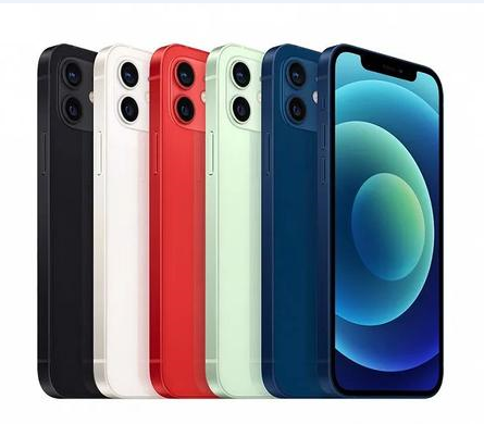 樟木头镇苹果维修点分享iPhone 12 Pro Max黑屏冷门故障解读 