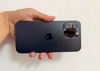 樟木头镇苹果维修点分享iPhone 14 Pro Max黑屏少见故障盘点 